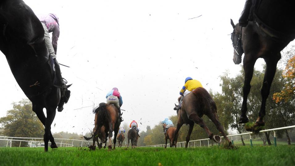 Leopardstown fence action